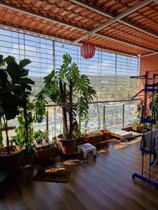 Balcony Image of 1750 Sq.ft 3 BHK Apartment / Flat for sale in Kolte Patil 24k Stargaze, Bavdhan Pune for Rs. 21000000
