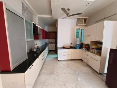 Kitchen Image of 1500 Sq.ft 3 BHK Builder Floor for rent in Sector 52 Noida for Rs. 50000