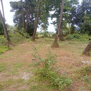 Image of 616 Sq.ft Residential Plot / Land for sale in Saligao, Goa for Rs. 65000000