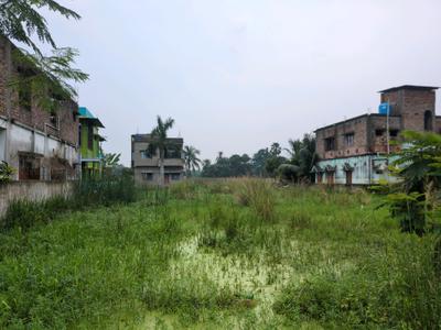 Wander Valley Plot View 1