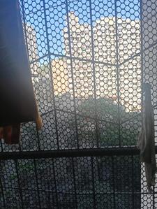 Balcony Image of 985 Sq.ft 2 BHK Apartment / Flat for sale in Mira Road East Mira Bhayandar for Rs. 5500000