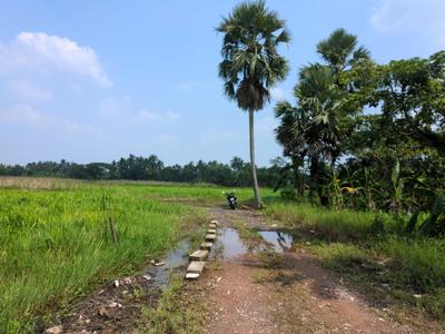 Image of 1440 Sq.ft Residential Plot / Land for sale in Natures Paradise, Joka, Kolkata for Rs. 449998
