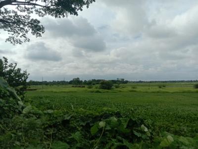 Residential plot Sonarpur Plot View 2