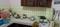 Awas vikas flats Kitchen 1
