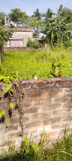 Kalyan Nagar, Rahara Main Image 1