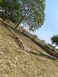 Image of 1250 Sq.ft Residential Plot / Land for sale in Jhalwa, Allahabad for Rs. 1805000