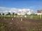 Wagholi Plot View 2