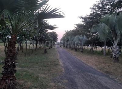 Image of 1200 Sq.ft Residential Plot / Land for sale in Kathlal, Kheda for Rs. 7200000