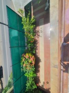 Balcony Image of 3654 Sq.ft 2 BHK Independent House for sale in Paldi Ahmedabad for Rs. 45000000