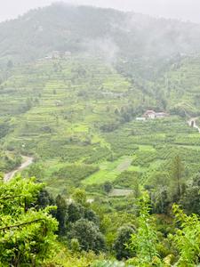 Image of 720 Sq.ft Residential Plot / Land for sale in Mukteshwar, Nainital for Rs. 7250000