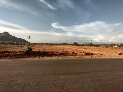 Paradise Plot View 2