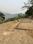 Kalagaon Plot View 2