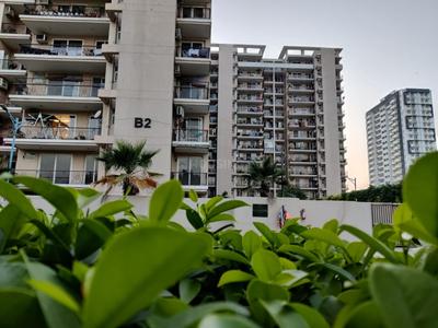Image of 1650 Sq.ft 4 BHK Apartment / Flat for sale in Tulip Purple, Sector 69, Gurgaon for Rs. 28000000