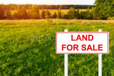 Image of 4320 Sq.ft Residential Plot / Land for sale in Kalikapur, EM Bypass, Kolkata for Rs. 24000000