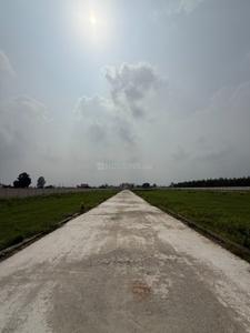 Image of 1500 Sq.ft Residential Plot / Land for sale in Haldwani, Nainital for Rs. 2300000