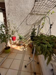Balcony Image of 550 Sq.ft 1 BHK Apartment / Flat for sale in Karia Konark Campus, Viman Nagar Pune for Rs. 9500000