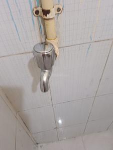 Bathroom Image of 260 Sq.ft 1 RK Apartment / Flat for rent in Mankhurd Mumbai for Rs. 11000