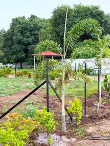 Image of 931 Sq.ft 2 BHK Farm House for sale in Shankarpally, Hyderabad for Rs. 16022081