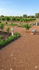 Image of 3000 Sq.ft Residential Plot / Land for sale in Amleshwar, Raipur for Rs. 2097000