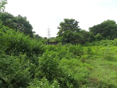 Image of 87686 Sq.ft Residential Plot / Land for sale in Uttara, Bhubaneswar for Rs. 170000000