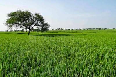 Image of 2400 Sq.ft Residential Plot / Land for sale in Sampatchak, Patna for Rs. 750000