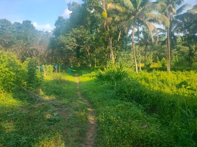 Image of 435600 Sq.ft Residential Plot / Land for sale in Kattilappoovam, Killannur, Thrissur for Rs. 60000000