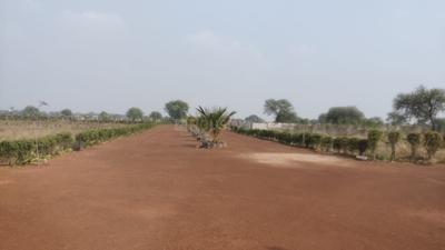 Image of 15000 Sq.ft Residential Plot / Land for sale in Sejbahar, Raipur for Rs. 7900000