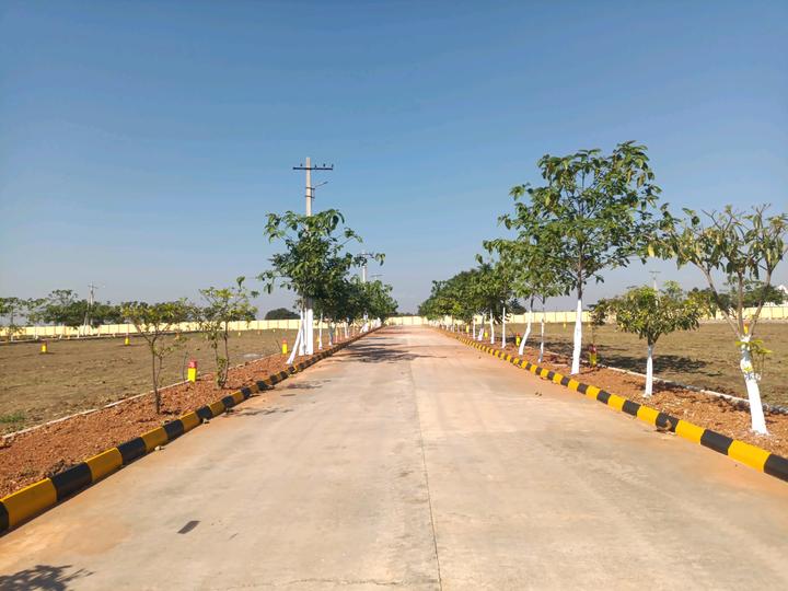 Alekhya NSR County Main Image 1