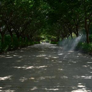 Image of 700 Sq.ft Residential Plot / Land for sale in Thol, Ahmedabad for Rs. 8200000