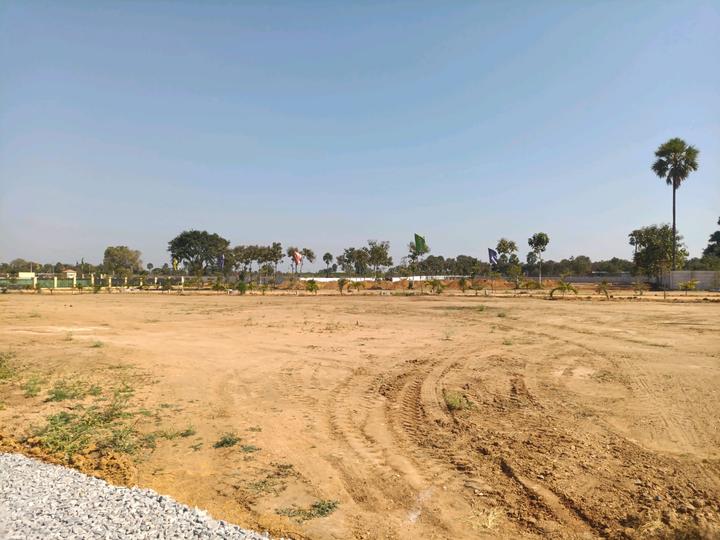 SGD Elite Main Image 1