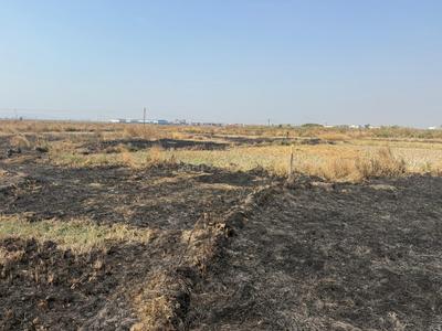 Image of 1089 Sq.ft Residential Plot / Land for sale in Invest Mahamumbai Plots In Khopate, Khopate, Raigad for Rs. 536000