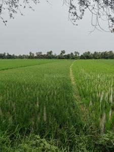 Image of 23000 Sq.ft Residential Plot / Land for sale in Naubatpur, Patna for Rs. 25500000