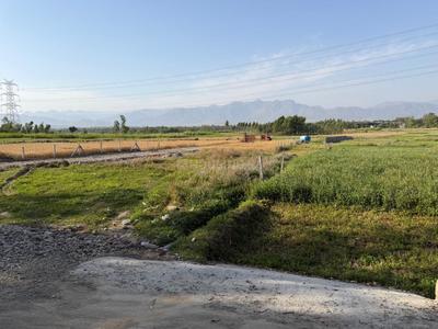 Image of 1146 Sq.ft Residential Plot / Land for sale in Dharmawala, Dehradun for Rs. 2050000