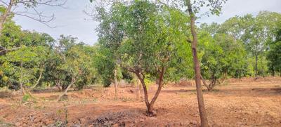 Image of 7000 Sq.ft Residential Plot / Land for sale in Vengal, Chennai for Rs. 2450000