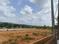 AK Classic Meadows Main Image 1