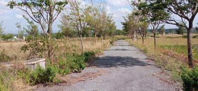 Image of 1500 Sq.ft Residential Plot / Land for sale in AVS Deflora, S Mudhuganapalli, Hosur for Rs. 1950000