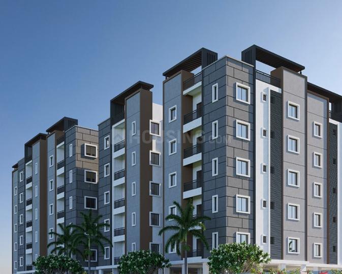 Avencia Main Image 1