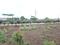 Perne Plot View 2