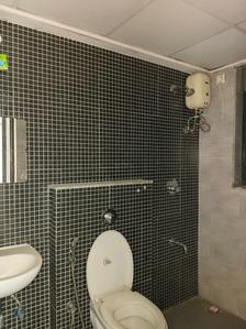 Common Bathroom Image of 1000 Sq.ft 2 BHK Apartment / Flat for rent in Lodha Palava Milano A B C H I J, Palava Phase 2 Thane for Rs. 16800