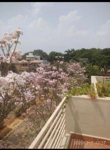 Image of 2400 Sq.ft Residential Plot / Land for sale in Taapasi Rosebay, Srinivasa Nagar, Bengaluru for Rs. 37000000