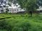 Sun Village Plot View 1