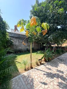 Image of 4153 Sq.ft 6 BHK Independent House for sale in Jhotwara, Jaipur for Rs. 34000000