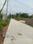 Apparent JB Garden Internal Roads 2