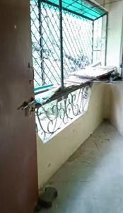 Balcony Image of 1000 Sq.ft 2 BHK Apartment / Flat for rent in Wanjari Nagar Nagpur for Rs. 13000