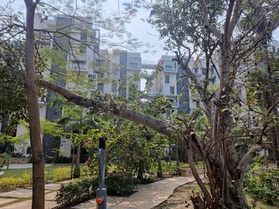Image of 1599 Sq.ft 3 BHK Apartment / Flat for sale in Sugam Habitat, Tiljala, Kolkata for Rs. 16500000