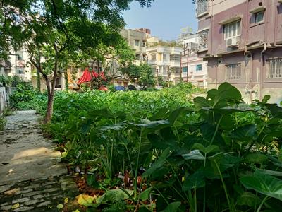 Image of 8100 Sq.ft Residential Plot / Land for sale in Keshtopur, Kolkata for Rs. 56250000