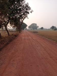 Image of 142 Sq.ft Residential Plot / Land for sale in HHC 107th Avenue, Sector 107, Faridabad for Rs. 9230000