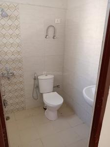 Bathroom Image of 750 Sq.ft 3 BHK Apartment / Flat for rent in Terra Lavinium, Sector 75 Faridabad for Rs. 16000