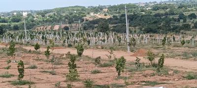Image of 121 Sq.ft Residential Plot / Land for sale in Keesara, Secunderabad for Rs. 786500
