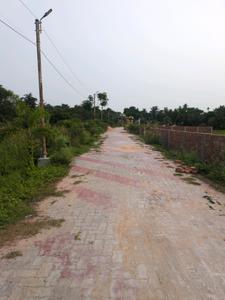 Nest Valley Internal Roads 2